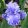 Iris SEA POWER