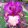 Iris SECRETARY