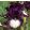 Iris SPECTATOR
