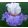 Iris TRUE PATRIOT