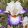 Iris VALLEY OF LOVE