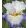 Iris WATERCOLOR ETCHING