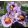 Iris WOODSY WOODPECKER