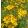 Coreopsis verticillata Grandiflora - Menyecskeszem