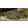 Cotoneaster procumbens Queen of Carpet - Madárbirs