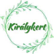 Fűrészeslevelű hortenzia - Hydrangea serrata 'Koreana'