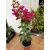 Bougainvillea - Murvafürt (lila)
