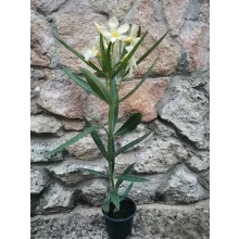 Leander Marie Gambetta (8)