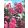 Lagerstroemia Black Diamond Shell Pink - Selyemmirtusz