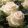 Rosa Dolomit - Rózsa