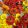 Helenium autumnale Mix - Napfényvirág