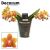 Phalaenopsis Table Naranja