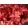 Heuchera Red Sea - Tűzgyöngyvirág