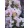 Lagerstroemia With Love Babe - Selyemmirtusz