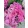 Kerti hortenzia - Hydrangea macrophylla (double pink)