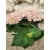  Kerti hortenzia - Hydrangea macrophylla Magical Revolution Pink