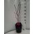 Magnolia Black Tulip - Liliomfa
