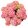 Hydrangea macrophylla Music Collection Pink Punk