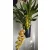 Cymbidium cascade Winny - Csüngő cymbidium