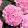 Hydrangea macrophylla EARLY PINK (p21) - Kerti hortenzia