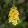 Antirrhinum majus Sweet Duet Citrus - Oroszlánszáj (mag)