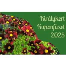 Online Kuponfüzet 2026