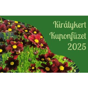 Kuponfüzet 2025