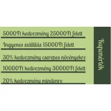 Online Kuponfüzet 2026