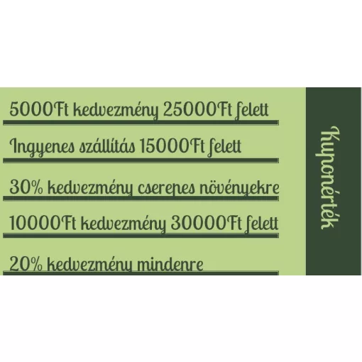 Online Kuponfüzet 2026