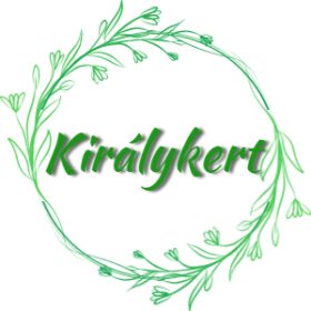 Kankalin (Primula)